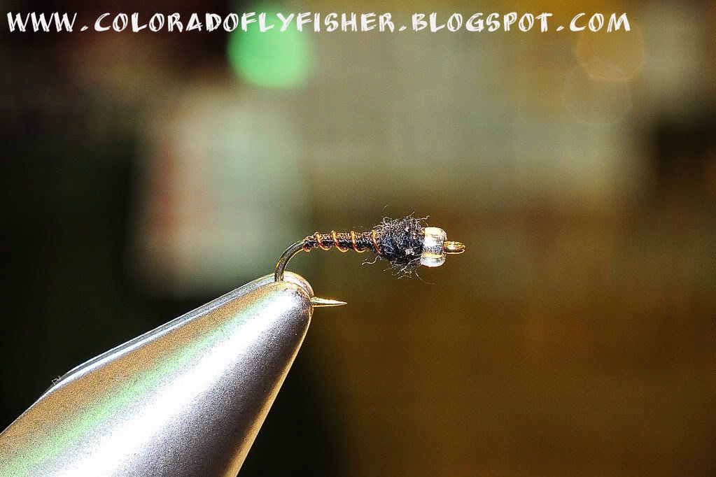 Colorado Fly Fishing Magazine Kleis's Top Ten Flies For Colorado